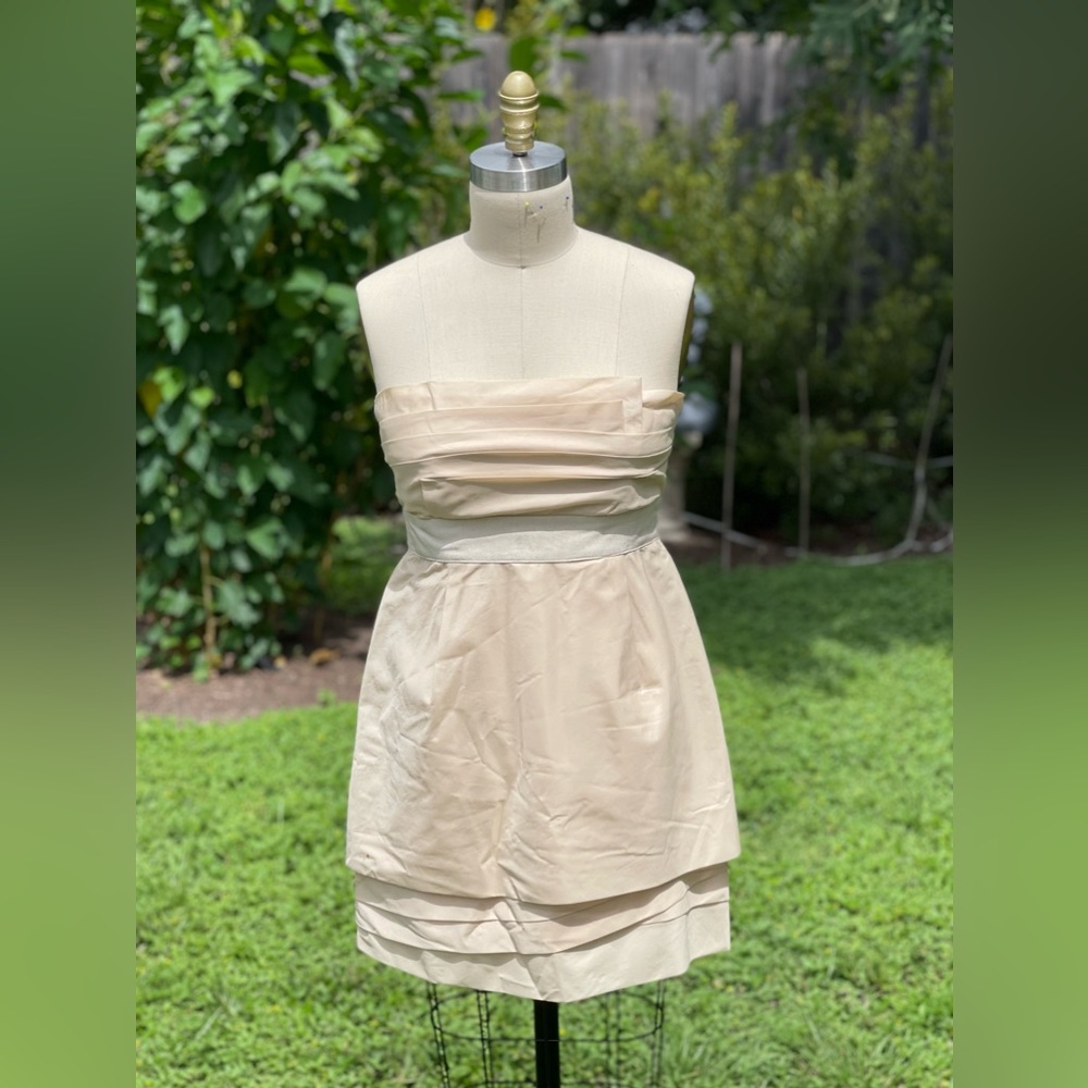 BCBGMaxAzria Blush, silk strapless party dress